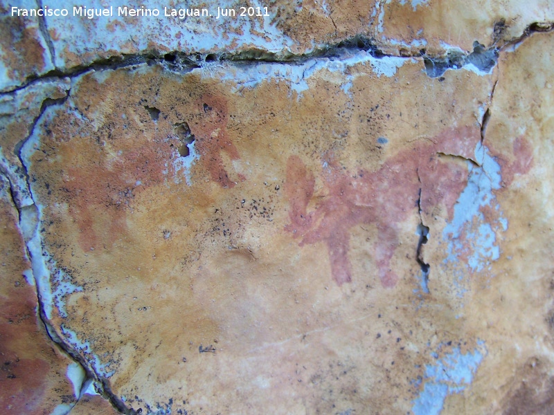 Pinturas rupestres de la Pea del Gorrin VII - Pinturas rupestres de la Pea del Gorrin VII. Los dos zooformos traseros