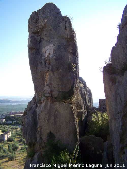 Pea del Gorrin - Pea del Gorrin. 