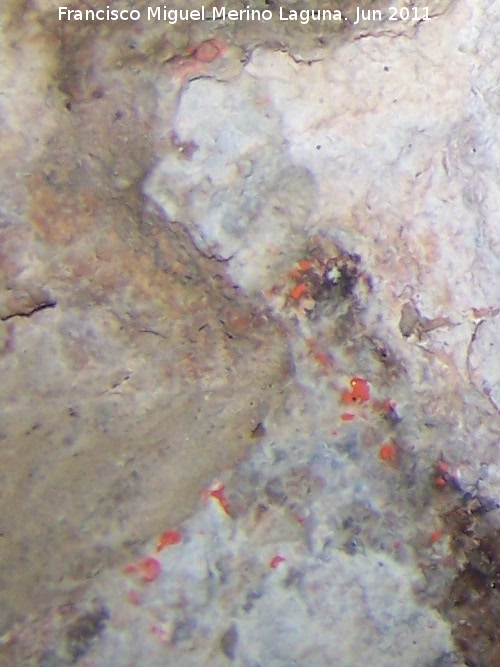 Pinturas rupestres de la Pea del Gorrin V - Pinturas rupestres de la Pea del Gorrin V. Puntos