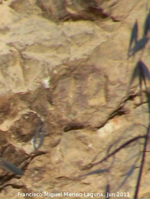 Pinturas rupestres de la Pea del Gorrin IV - Pinturas rupestres de la Pea del Gorrin IV. Antropomorfo