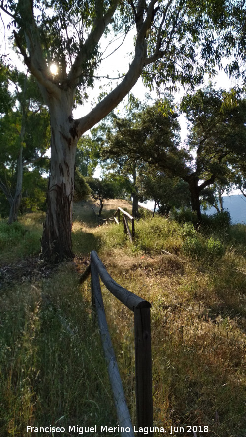 Cerro del Plomo - Cerro del Plomo. 