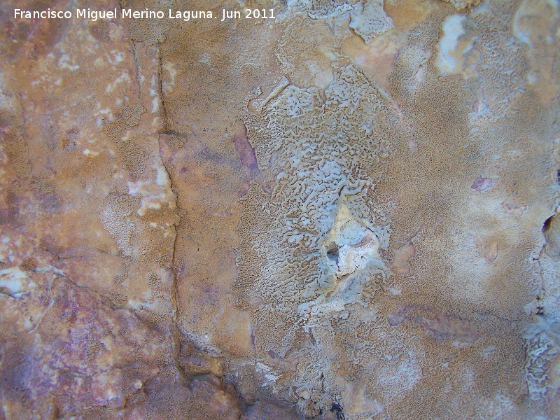 Pinturas rupestres de la Pea del Gorrin IIb - Pinturas rupestres de la Pea del Gorrin IIb. Pinturas rupestres