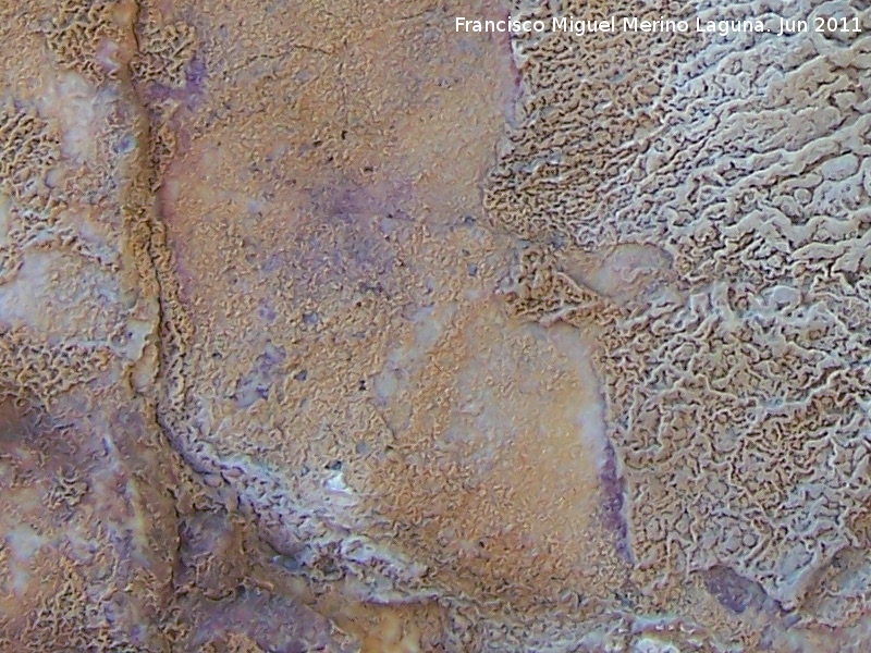 Pinturas rupestres de la Pea del Gorrin IIb - Pinturas rupestres de la Pea del Gorrin IIb. Restos