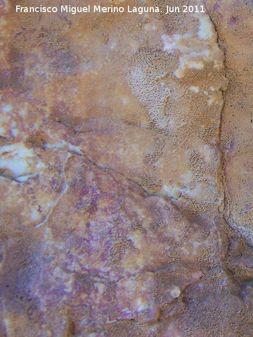 Pinturas rupestres de la Pea del Gorrin IIb - Pinturas rupestres de la Pea del Gorrin IIb. Restos