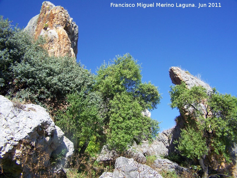 Cuatro Picos - Cuatro Picos. 