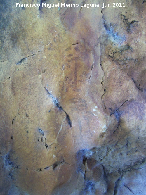 Pinturas rupestres de Cuatro Picos I - Pinturas rupestres de Cuatro Picos I. Pinturas rupestres