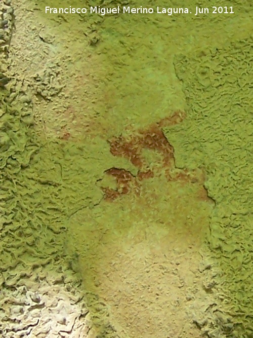 Pinturas rupestres de Cuatro Picos II - Pinturas rupestres de Cuatro Picos II. 