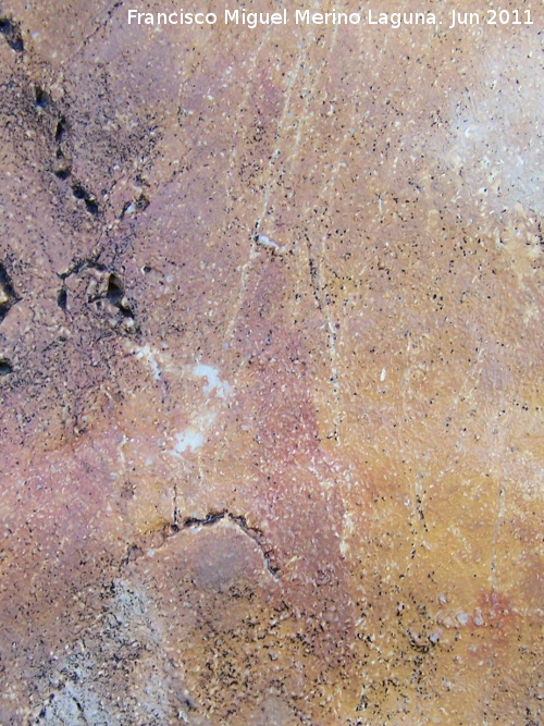Pinturas rupestres de Cuatro Picos III - Pinturas rupestres de Cuatro Picos III. Barra y punto