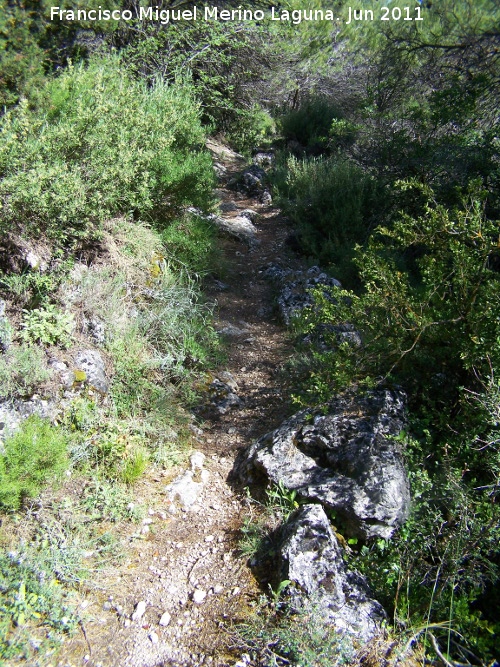 Camino de Herradura de La Nava - Camino de Herradura de La Nava. 