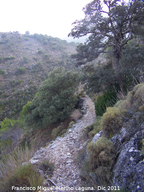 Camino de Herradura de La Nava - Camino de Herradura de La Nava. 