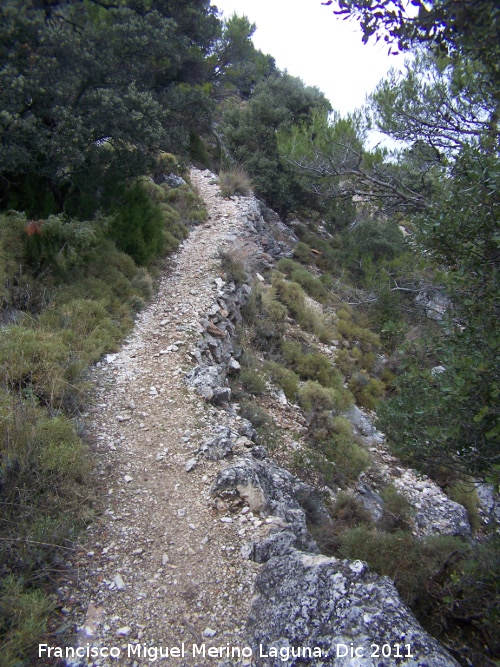 Camino de Herradura de La Nava - Camino de Herradura de La Nava. 