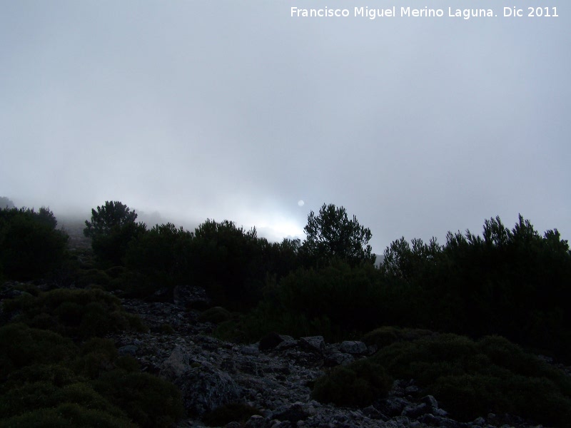 Puerto del Aire - Puerto del Aire. Niebla