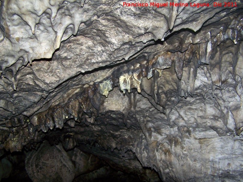 Cueva de La Hoya - Cueva de La Hoya. 