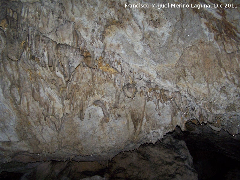 Cueva de La Hoya - Cueva de La Hoya. 