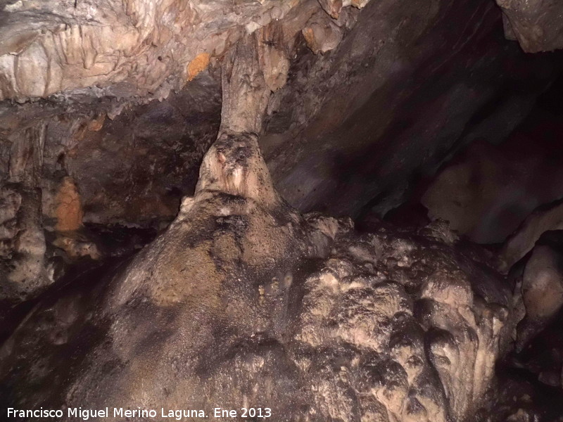 Cueva de La Hoya - Cueva de La Hoya. 