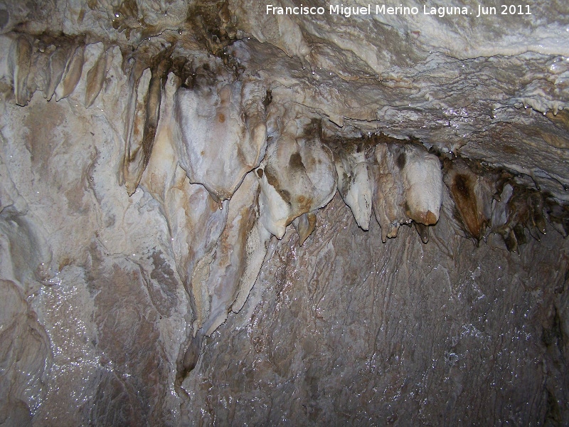 Cueva de La Hoya - Cueva de La Hoya. 