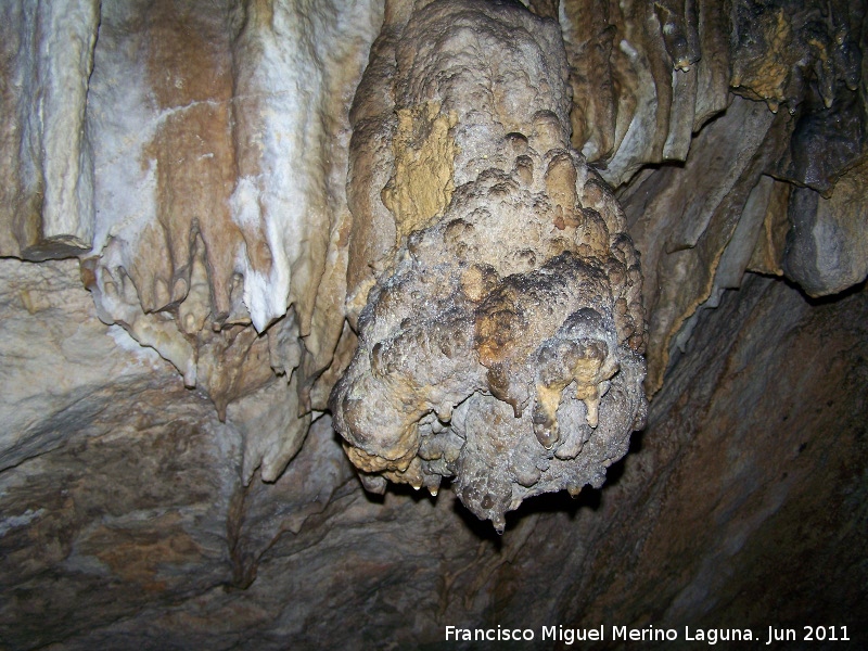 Cueva de La Hoya - Cueva de La Hoya. 