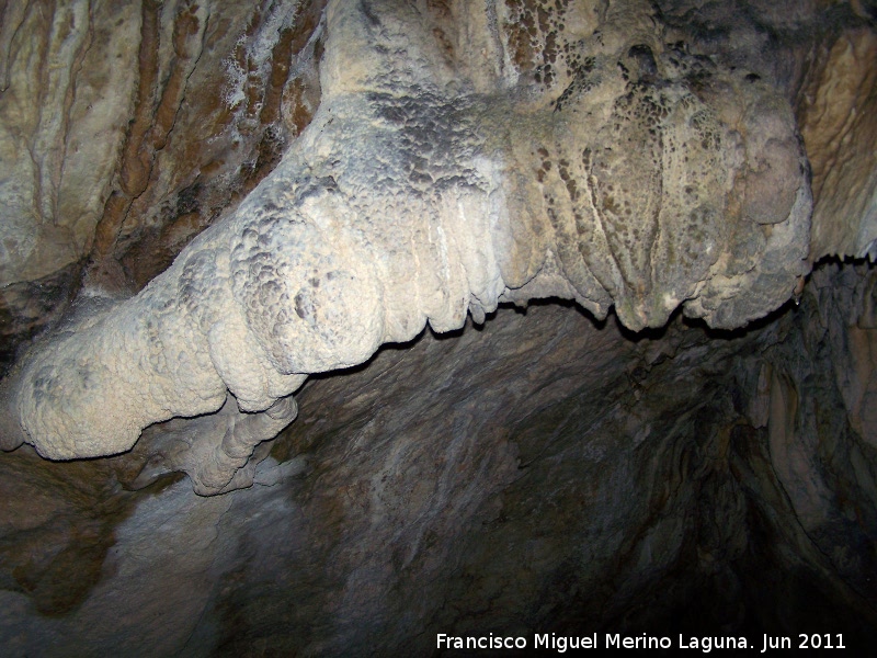 Cueva de La Hoya - Cueva de La Hoya. 