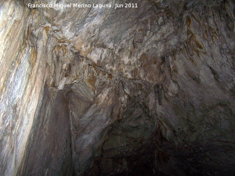 Cueva de La Hoya - Cueva de La Hoya. 