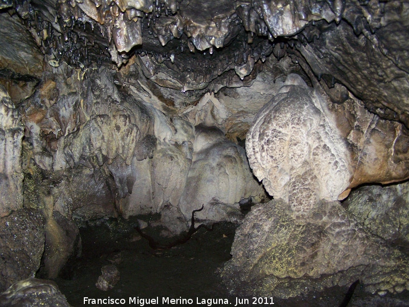 Cueva de La Hoya - Cueva de La Hoya. 