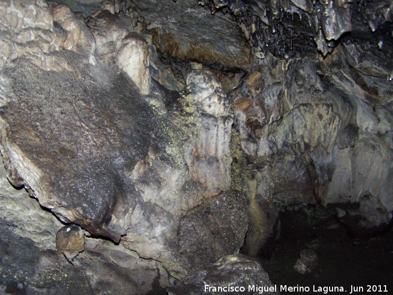 Cueva de La Hoya - Cueva de La Hoya. 