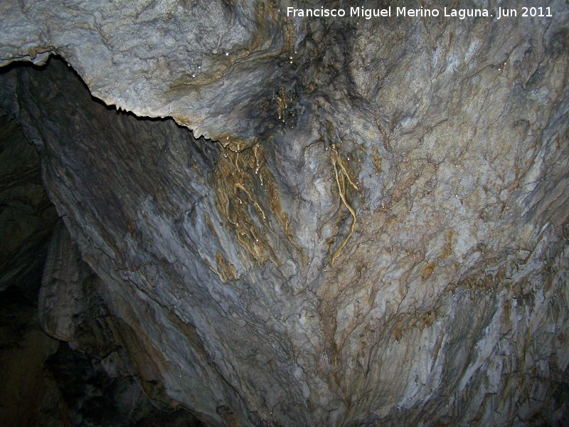 Cueva de La Hoya - Cueva de La Hoya. 