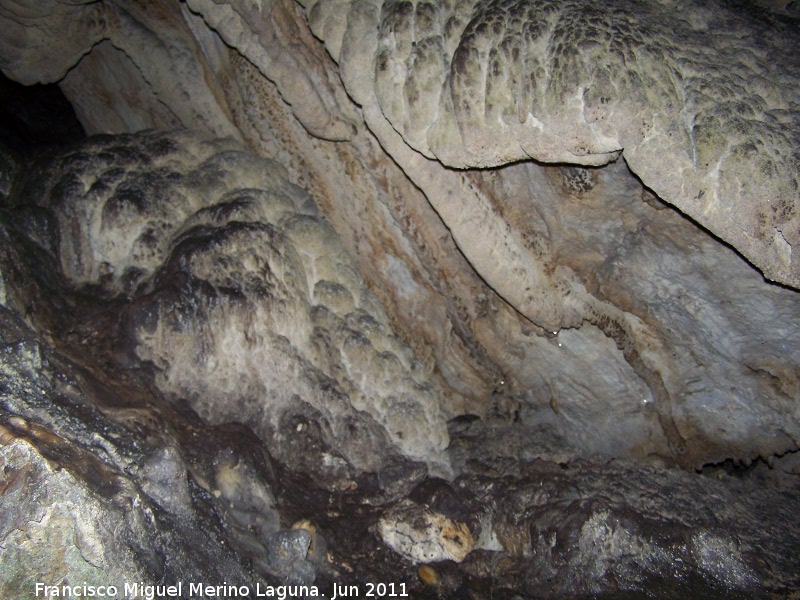 Cueva de La Hoya - Cueva de La Hoya. 