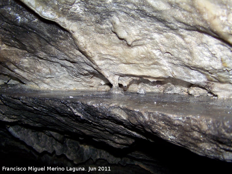 Cueva de La Hoya - Cueva de La Hoya. 