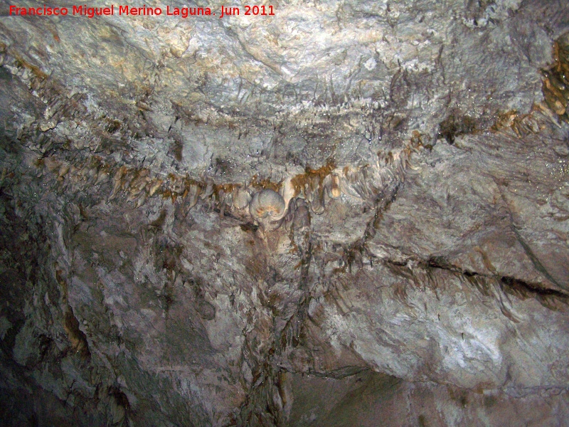 Cueva de La Hoya - Cueva de La Hoya. 