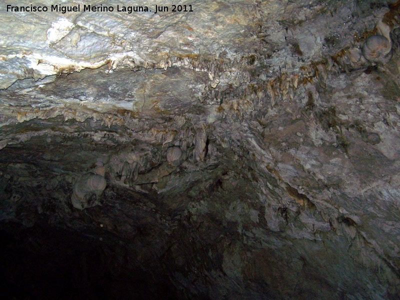 Cueva de La Hoya - Cueva de La Hoya. 