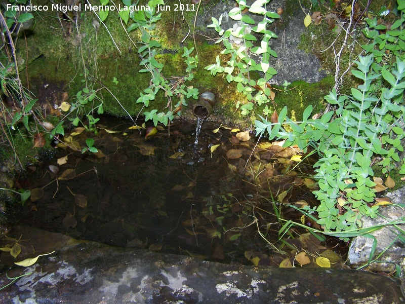 Fuente del Obispo - Fuente del Obispo. 