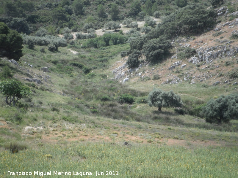 Paraje Fuente de la Zarza - Paraje Fuente de la Zarza. 