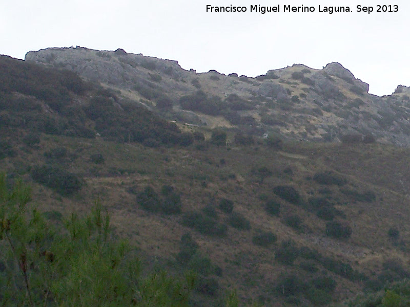 Cerro de la Vicara - Cerro de la Vicara. Vertiente sur