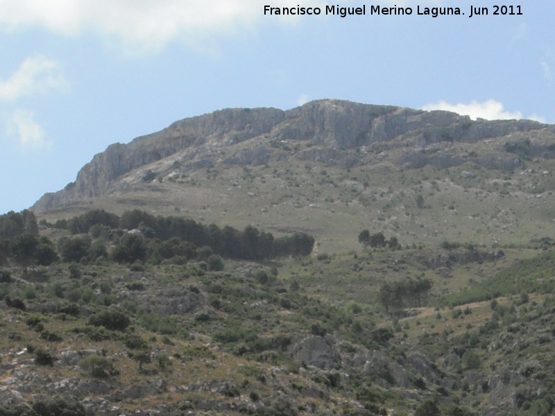 Cerro de la Vicara - Cerro de la Vicara. Vertiente norte