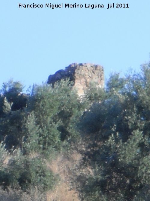 Castillo de La Malena - Castillo de La Malena. 