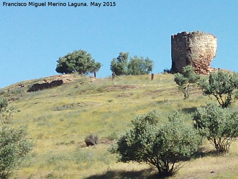 Castillo de La Malena - Castillo de La Malena. Muralla y Torren