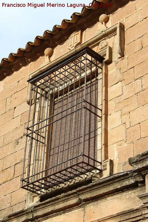 Palacio de Los Molina de la Cerda - Palacio de Los Molina de la Cerda. Ventana principal