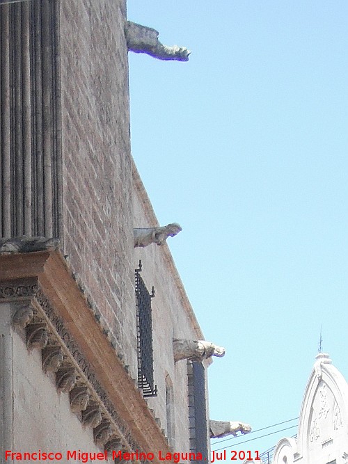 Catedral de Valencia. Grgolas - Catedral de Valencia. Grgolas. 