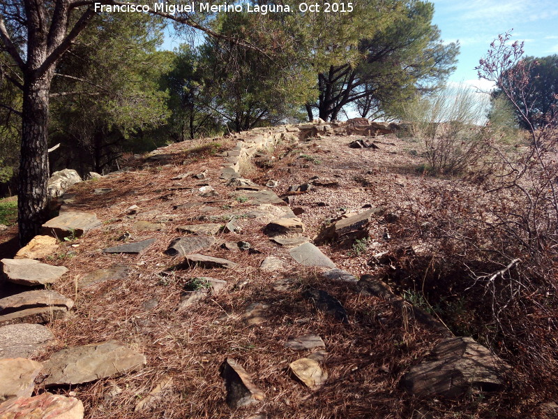 Fortn de Migaldas - Fortn de Migaldas. Muralla