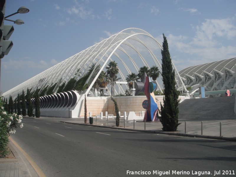 Ciudad de las Artes y las Ciencias. Umbrculo - Ciudad de las Artes y las Ciencias. Umbrculo. 