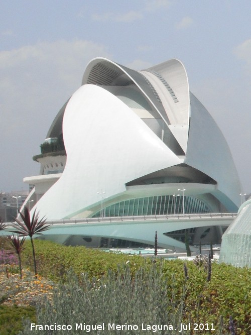 Ciudad de las Artes y las Ciencias. Palacio de las Artes Reina Sofa - Ciudad de las Artes y las Ciencias. Palacio de las Artes Reina Sofa. 