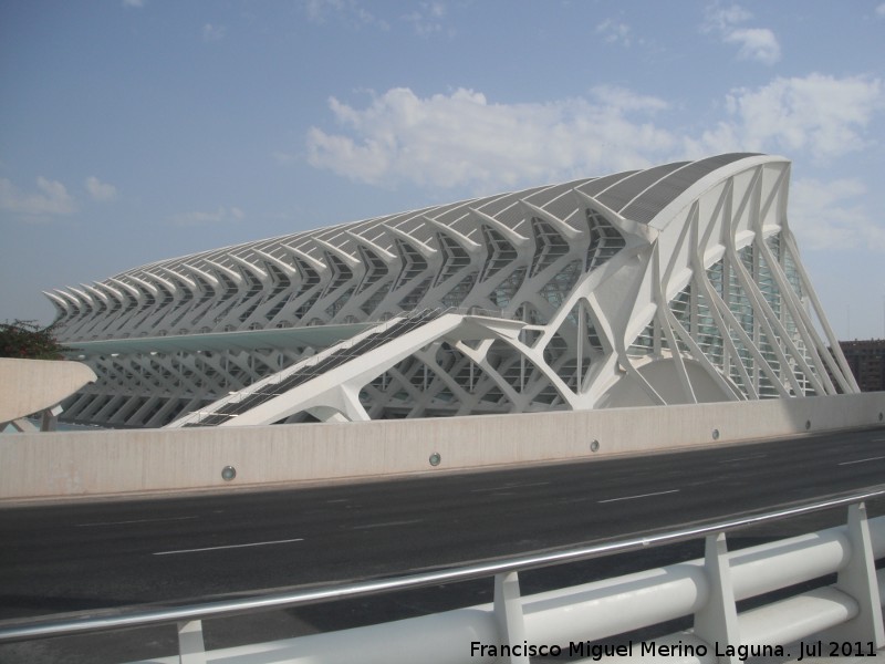 Ciudad de las Artes y las Ciencias. Museo de las Ciencias Prncipe Felipe - Ciudad de las Artes y las Ciencias. Museo de las Ciencias Prncipe Felipe. 