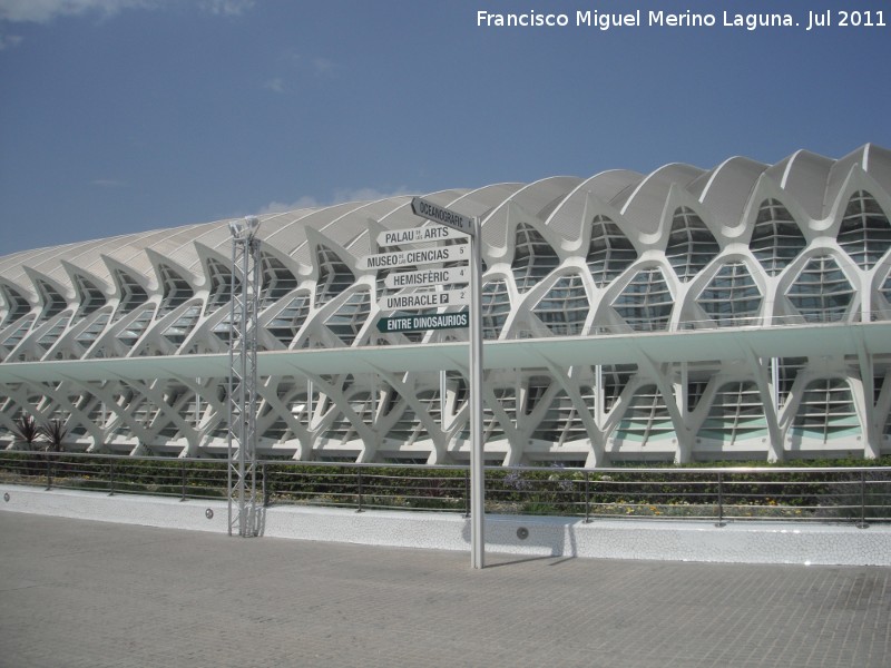 Ciudad de las Artes y las Ciencias. Museo de las Ciencias Prncipe Felipe - Ciudad de las Artes y las Ciencias. Museo de las Ciencias Prncipe Felipe. 