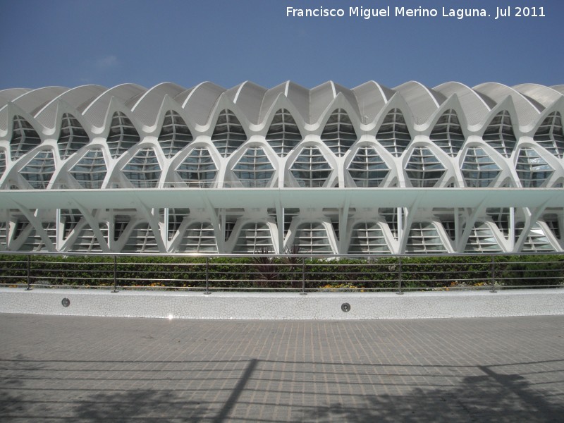 Ciudad de las Artes y las Ciencias. Museo de las Ciencias Prncipe Felipe - Ciudad de las Artes y las Ciencias. Museo de las Ciencias Prncipe Felipe. 