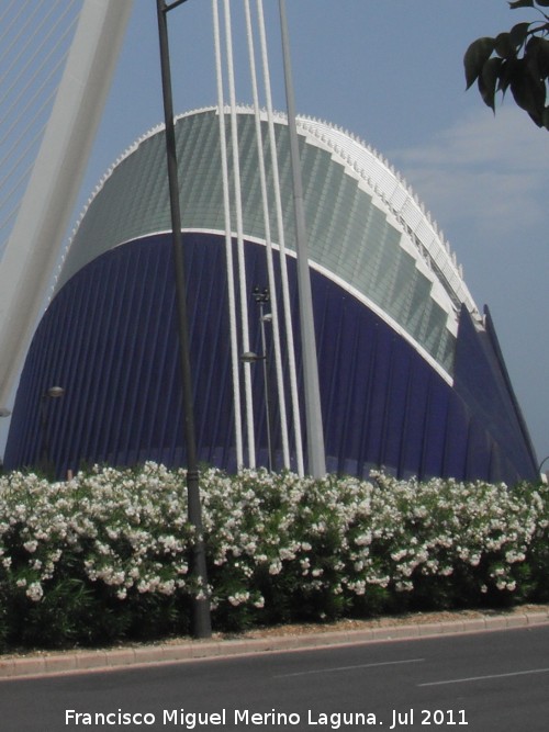 Ciudad de las Artes y las Ciencias. gora - Ciudad de las Artes y las Ciencias. gora. 