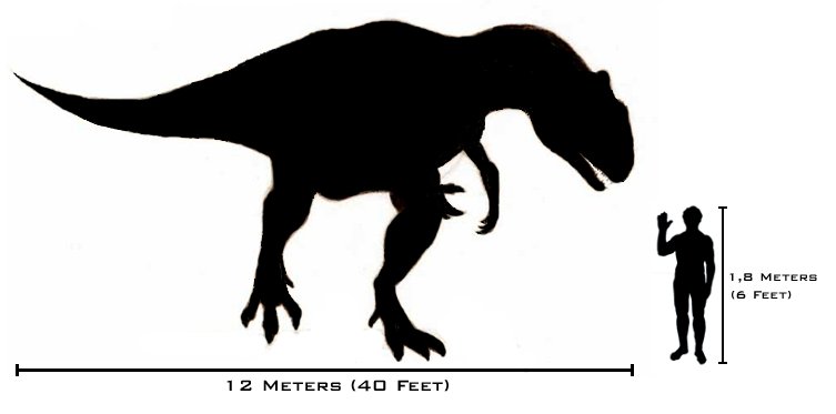 Alosaurio - Alosaurio. Comparacin con el hombre. Wikipedia
