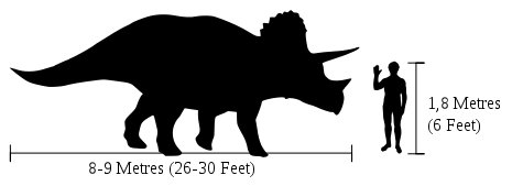 Triceratops - Triceratops. Comparacin con el hombre. Wikipedia