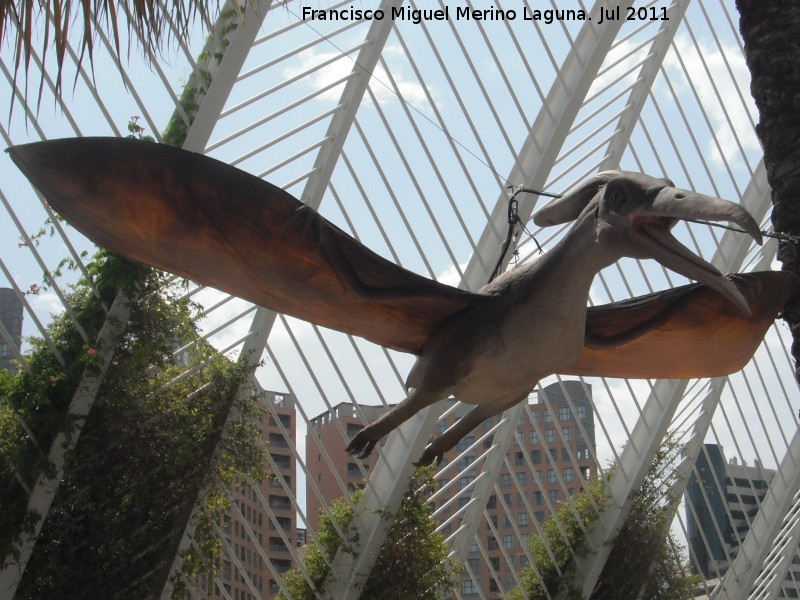 Pteranodon - Pteranodon. Valencia