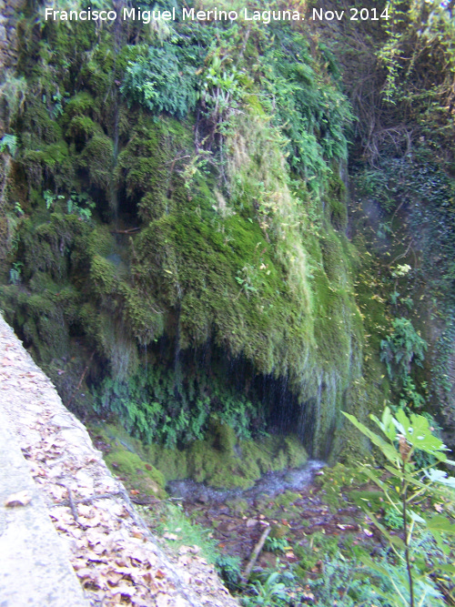 Valparaso - Valparaso. Cascada
