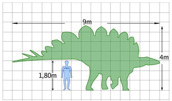 Estegosaurio - Estegosaurio. Comparacin con el hombre. Wikipedia